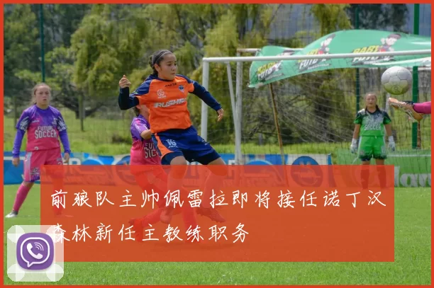 前狼队主帅佩雷拉即将接任诺丁汉森林新任主教练职务